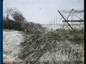 Image représentant France, Courcy, Réseaux enlevés des Champs