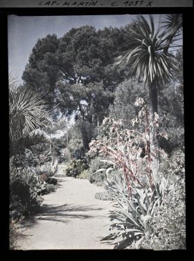 Image représentant le Jardin