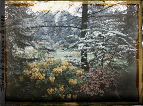 Image représentant Massif d'arbustes en fleurs et partie est du marais vue à travers la végétation en direction du nord