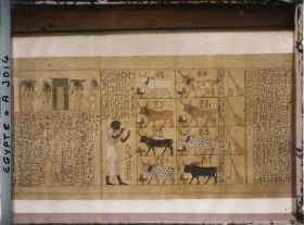 Image représentant Papyrus du Livre des morts dans une vitrine du musée égyptien
