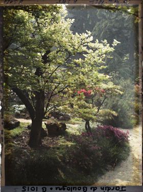 Image représentant Arbustes et azalées au bord de chemins proches du torii et des ponts du " sanctuaire japonais "