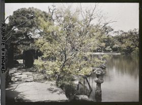 Image représentant Jardin ou parc