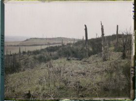 Image représentant Belgique, Kemmel, Le petit Kemmel (132 m), vu du Grand du Kemmel (151 m)
