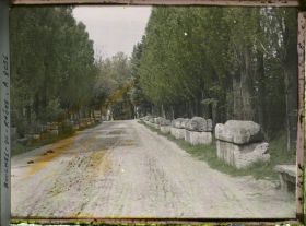 Image représentant L'allée des sarcophages, nécropole des Alyscamps