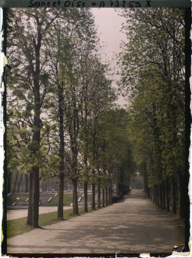 Image représentant L'allée de la Carrière dans le petit parc