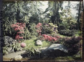 Image représentant Pierres, azalées et érables rougeoyants, situés à l'entrée du " sanctuaire japonais "