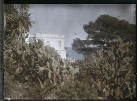 Image représentant Ensemble de plantes exotiques aux abords de la villa Kahn, dite villa Zamir