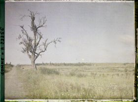Image représentant France, La Maisonnette, La Cote 97 (La Maisonnette) vue de l'est