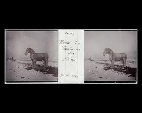 Image représentant Ming Shisanling ("Treize Tombeaux des Ming"). L'un des deux chevaux debout de l'allée des statues