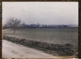 Image représentant France, Les Clayes, Champ de blé, vue prise vers la Gare