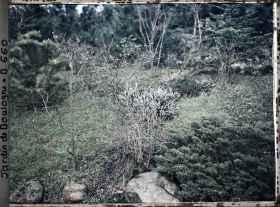 Image représentant Végétaux en repos hivernal, situés à l'ouest du " village japonais " ?