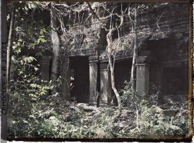 Image représentant Une galerie du grand monastère, envahie par la végétation, au temple Preah Khan