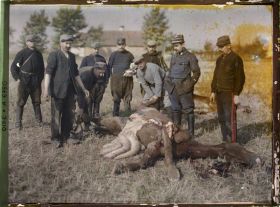 Image représentant Autopsie de chevaux tués