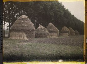 Image représentant Ile de France, Nointel, Meules de blé (temps pluvieux) en bordure d'une allée de peupliers(Temps gris)