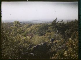 Image représentant Forêt