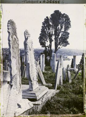 Image représentant Dalles et cippes funéraires dans le cimetière d'Eyüp