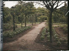 Image représentant Axe central du verger-roseraie bordé de légumes, vu près de la dépendance, en direction de l'est