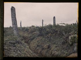 Image représentant France, Bois le Prêtre, Première ligne Française