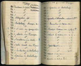 Image représentant Temple Asakusa : Asakusa-koen (parc d'Asakusa), la Niomon (Porte intérieure) et l'allée (Nakamise)