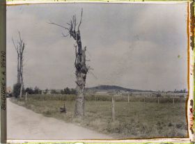 Image représentant Belgique, Kemmel, Le Scherpenberg