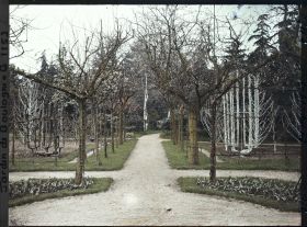 Image représentant Allée du verger-roseraie menant à la forêt bleue, depuis le rond-point proche du jardin français