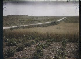 Image représentant France, Vaudesson, Chemin des Dames, Fort de la Malmaison , Champs d'avoine de Pommes de terres