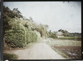 Image représentant Village de la commune de Sakura