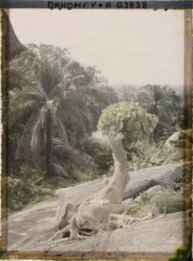 Image représentant Paysage de montagne