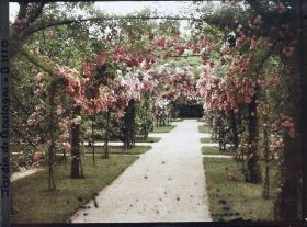 Image représentant Axe central du verger-roseraie vu vers la dépendance, après le rond-point proche du jardin français