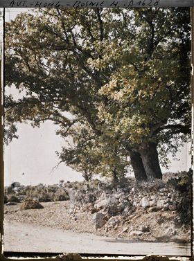 Image représentant Un ancien Cimetière musulman entouré de murs