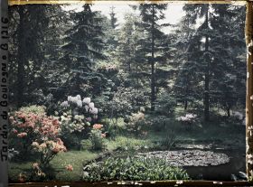 Image représentant Berges fleuries situées au nord-est du marais, vues en direction de l'est, sud-est