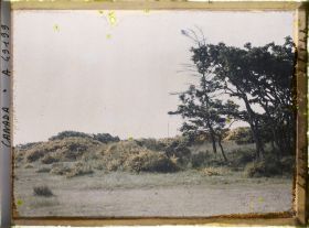 Image représentant Canada,Victoria, Beaconhill parc