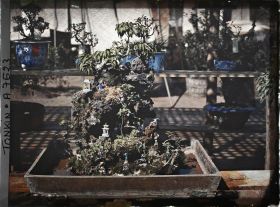 Image représentant Un jardin miniature en rocaille (ou " paradis " bouddhique ") faisant partie d'une exposition florale