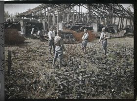 Image représentant France, Vauxrot (Verrerie) Ouvriers de la Verrerie ramassant les fils barbelés