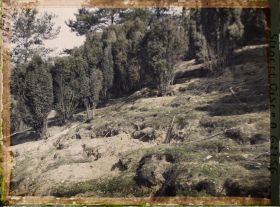 Image représentant Ile de France, Vallangoujard, Terriers de Lapins