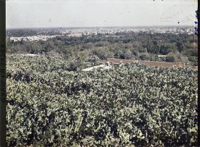 Image représentant Panorama de la ville