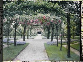 Image représentant Axe central du verger-roseraie photographié non loin de la dépendance, en direction du jardin anglais