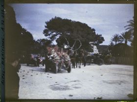 Image représentant Le carnaval, la fête des fleurs