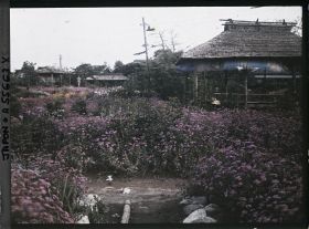 Image représentant Parc Horikiri-shobuen