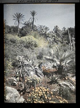 Image représentant le Jardin