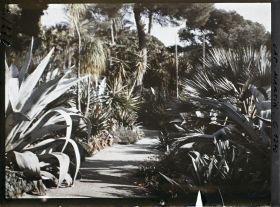 Image représentant le Jardin