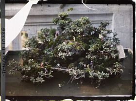 Image représentant Un jardin miniature en rocaille (ou " paradis " bouddhique ") faisant partie d'une exposition florale