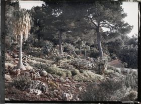 Image représentant Cap Martin - Le Jardin