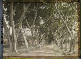 Image représentant Une allée près du mur d'enceinte du palais de  null Guézo