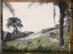 Image représentant Piège à panthère dans une palmeraie en montagne