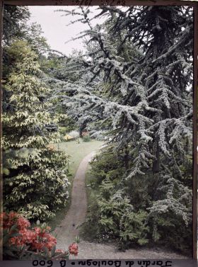 Image représentant Limite des forêts dorée et bleue