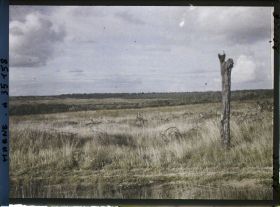 Image représentant France, Vienne le Château , Terrain de Combat compris entre Servon et Binarville, en bas, ruisseau de la Vallée Montréal, au fond, Binarville ; vue prise de la route de Servon