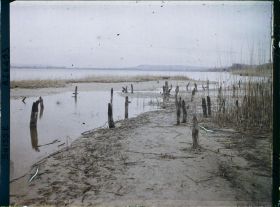 Image représentant Site palafittique préhistorique des Alpes, pieux en bois visibles lors de la baisse des eaux après la grande sécheresse de 1921
