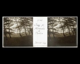 Image représentant Le jardins de la résidence de M. Matsuda