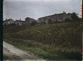 Image représentant France, Norroy, Maisons reconstruites et en reconstruction, Vignes